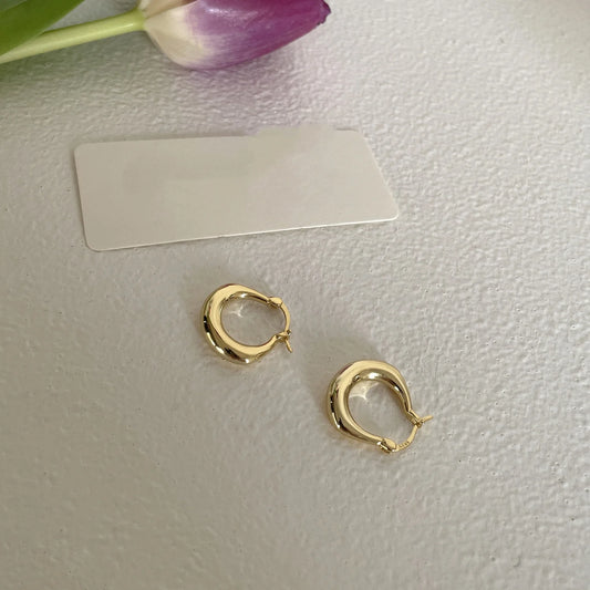 925 Sterling Silver Gold round Earrings Exquisite Party Gift Suitable for Original Temperament New Hot Selling Jewelry Accessory