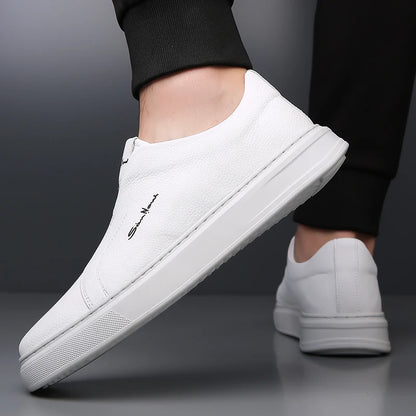 2025 Summer New Mens Loafers Trend Concise Casual Shoes Fashion Urban Leisure Leather Shoes Comfortable Convenient Board Shoes